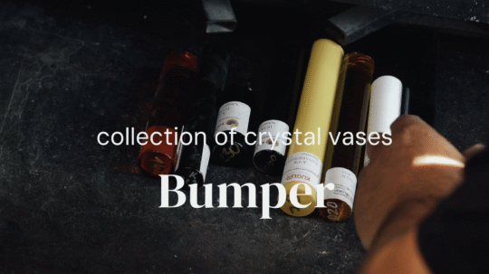 Projekt - Bumper Vase 